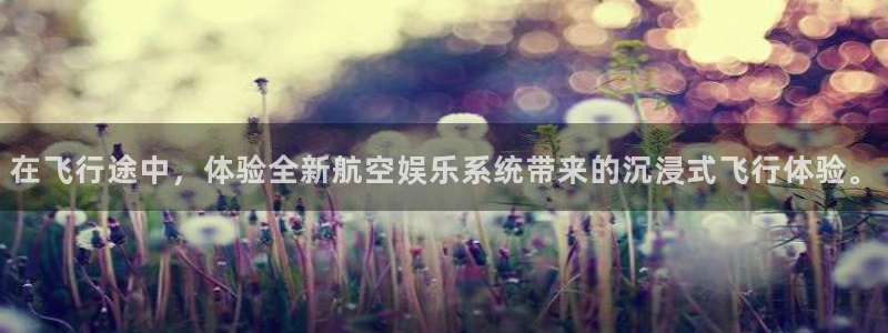 众腾娱乐：在飞行途中，体验全新航空娱乐系统带来的沉浸式飞行体验。