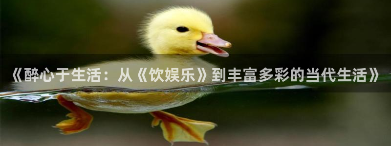众腾娱乐：《醉心于生活：从《饮娱乐》到丰富多彩的当代生活》