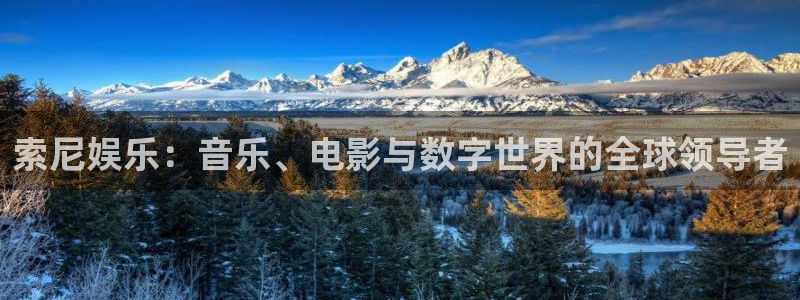 众腾娱乐：索尼娱乐：音乐、电影与数字世界的全球领导者