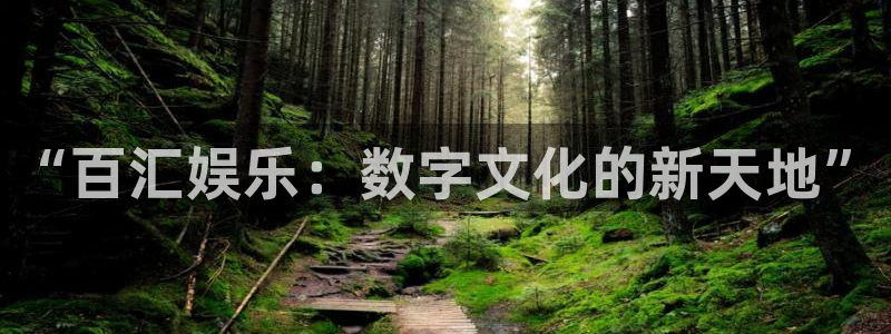 众腾娱乐：“百汇娱乐：数字文化的新天地”